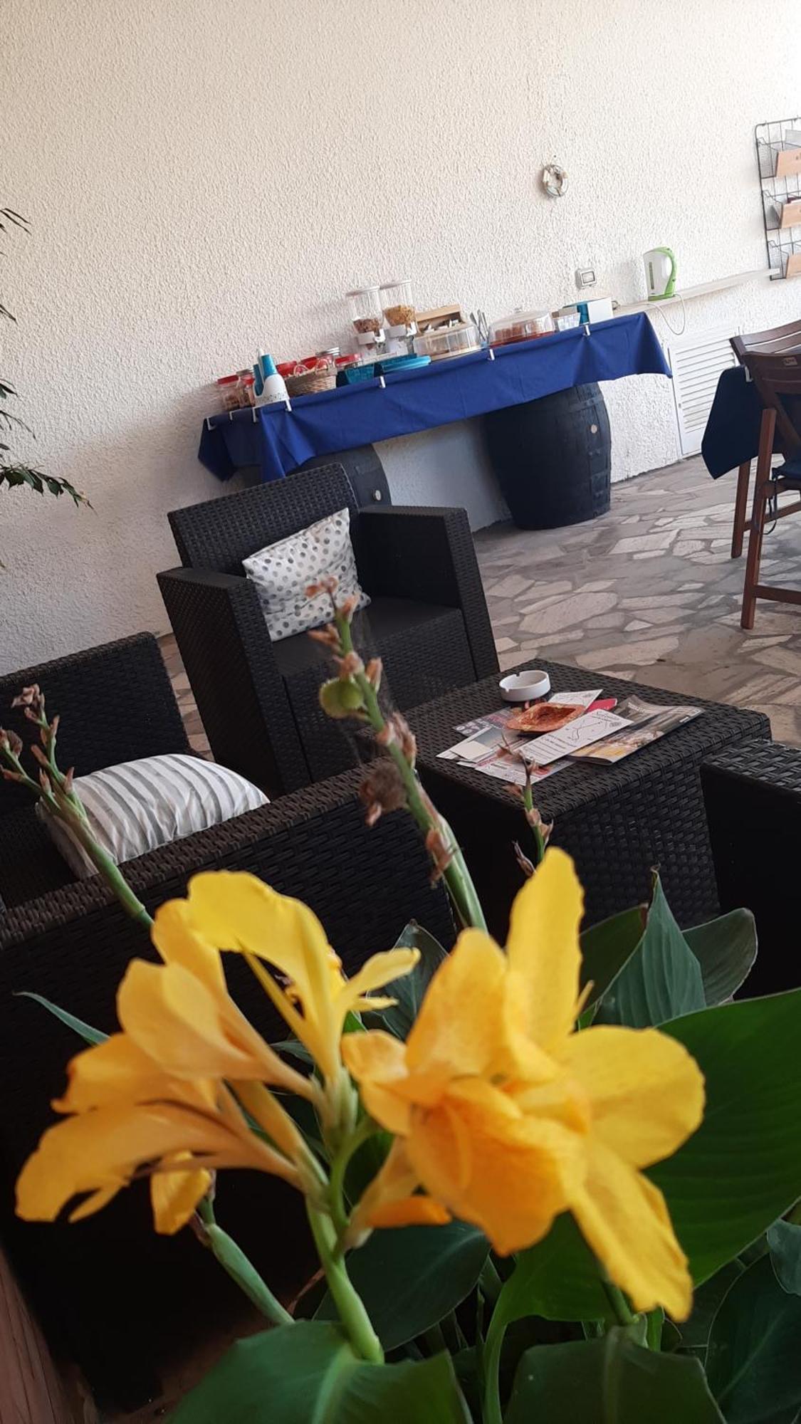 B&B Il Cedro 살베 외부 사진