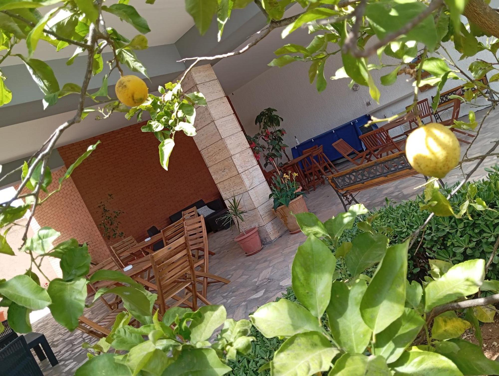 B&B Il Cedro 살베 외부 사진